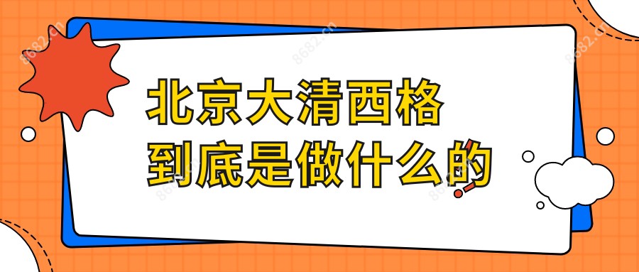 北京大清西格到底是做什么的