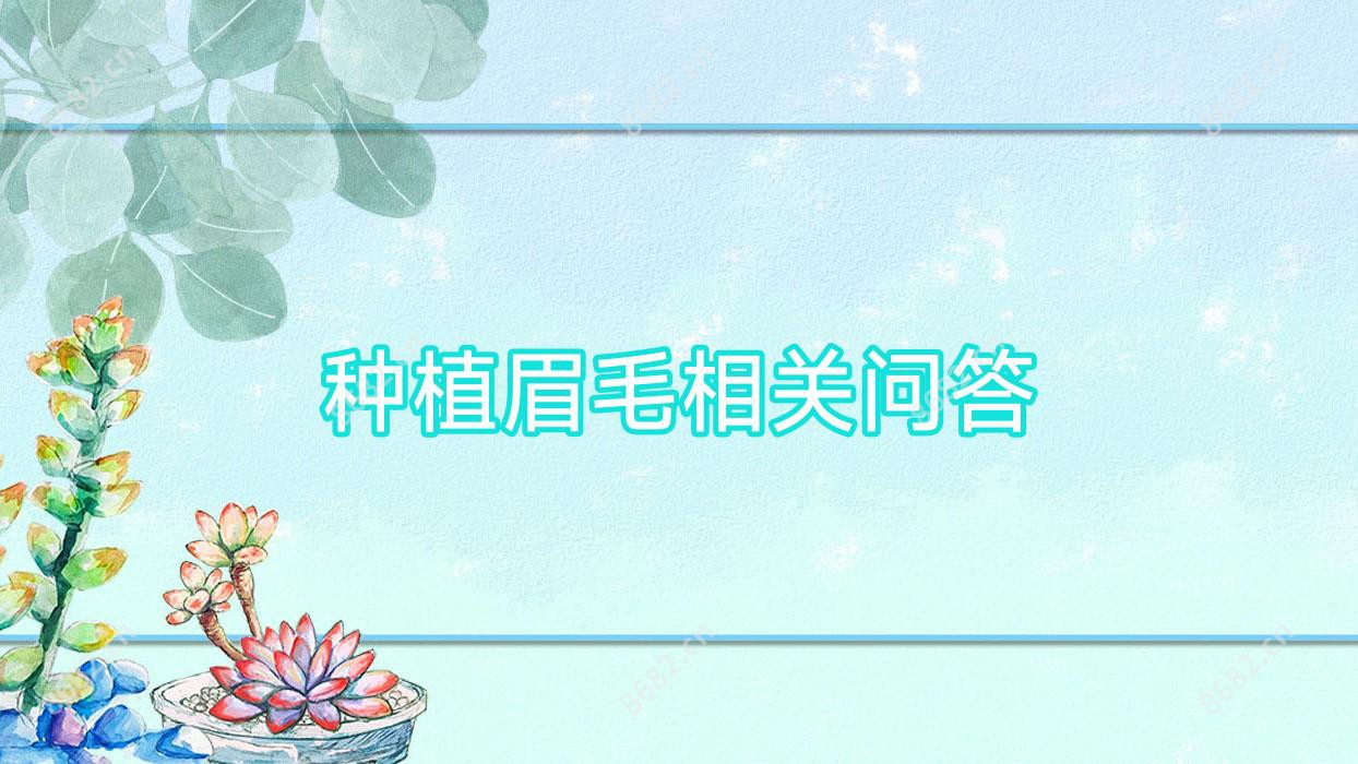 种植眉毛相关问答