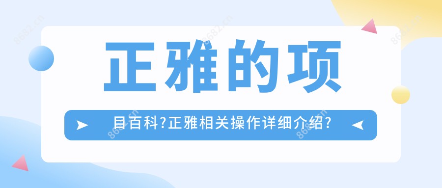 正雅的项目百科?正雅相关操作详细介绍?