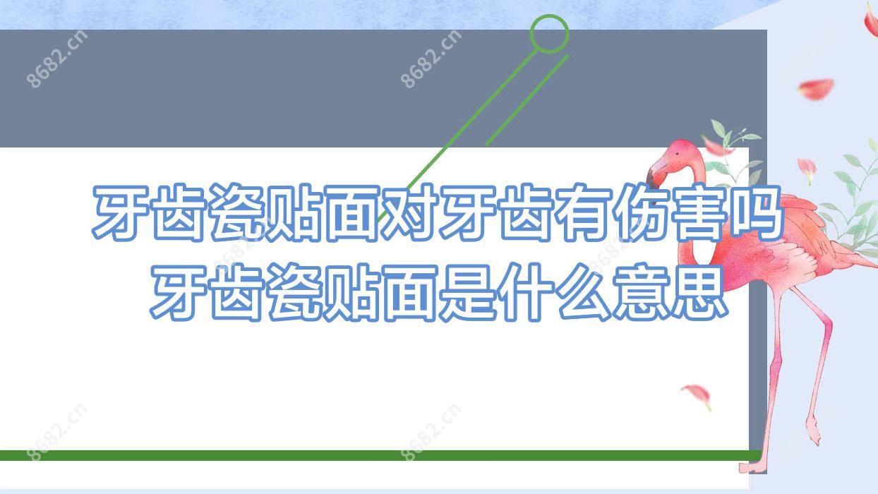 牙齿瓷贴面对牙齿有伤害吗 牙齿瓷贴面是什么意思