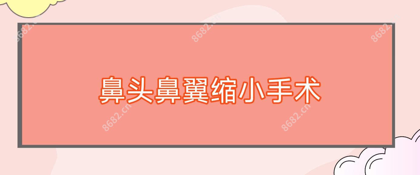 鼻头鼻翼缩小手术