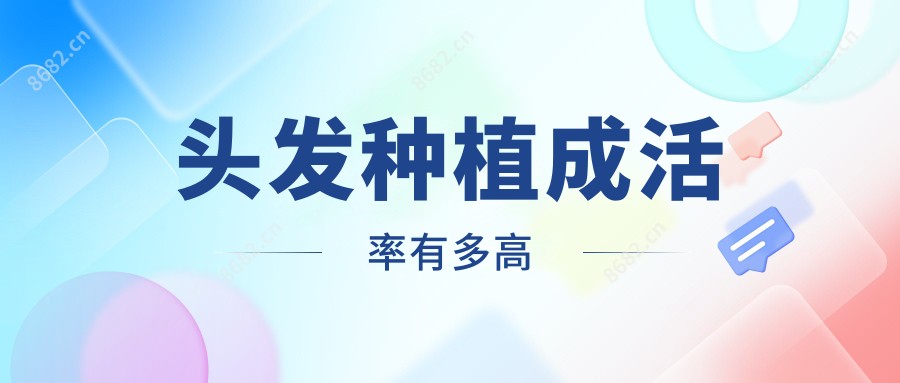头发种植成活率有多高