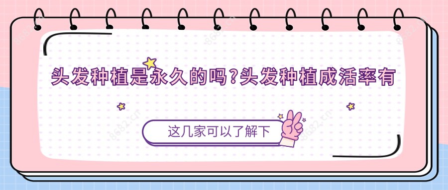 头发种植是持久的吗?头发种植成活率有多高?
