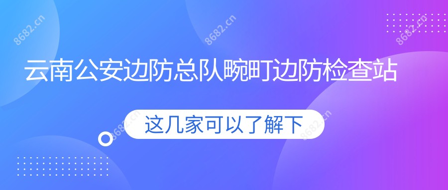 云南公安边防总队畹町边防检查站