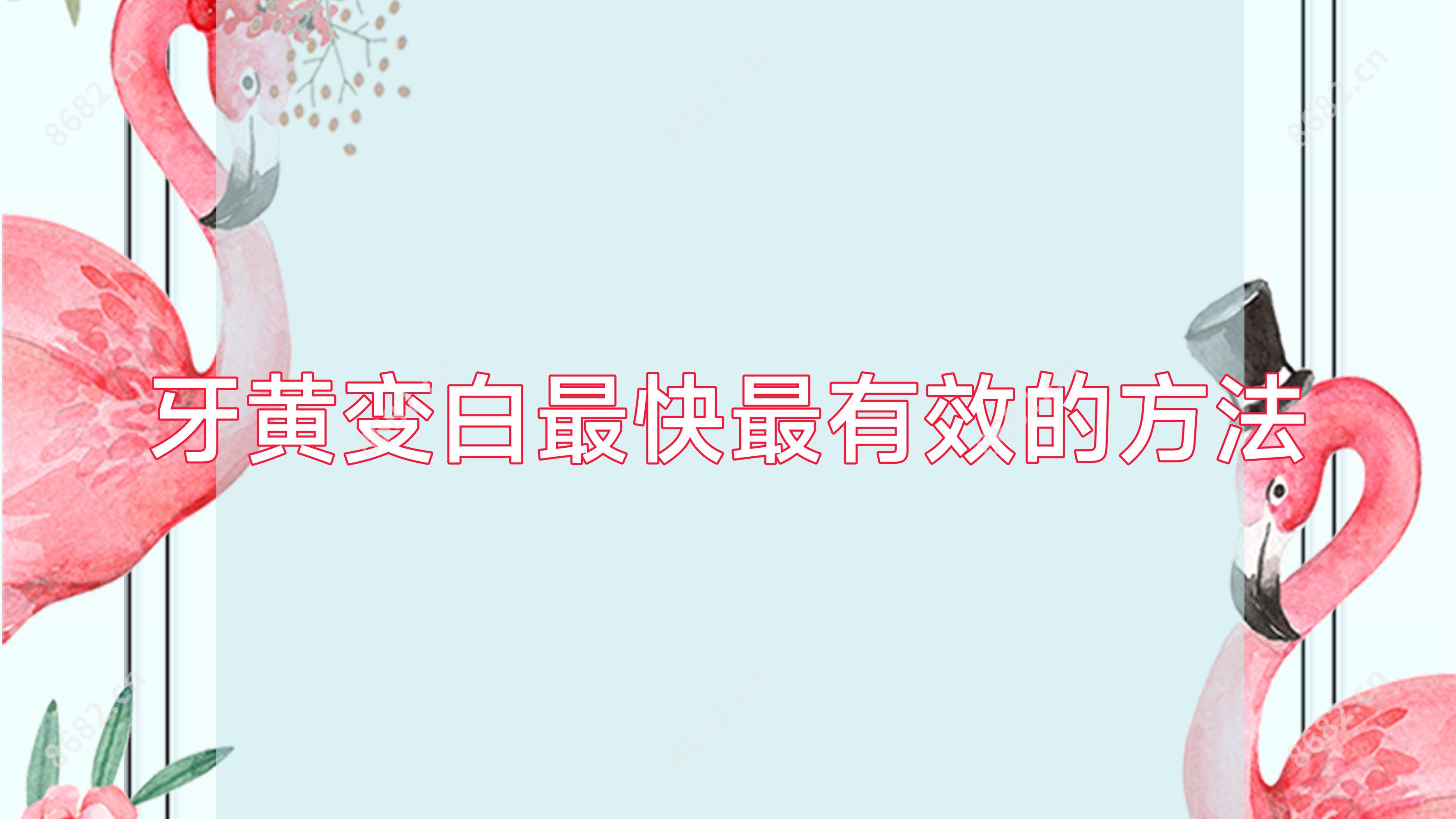 牙黄变白较快较有效的方法
