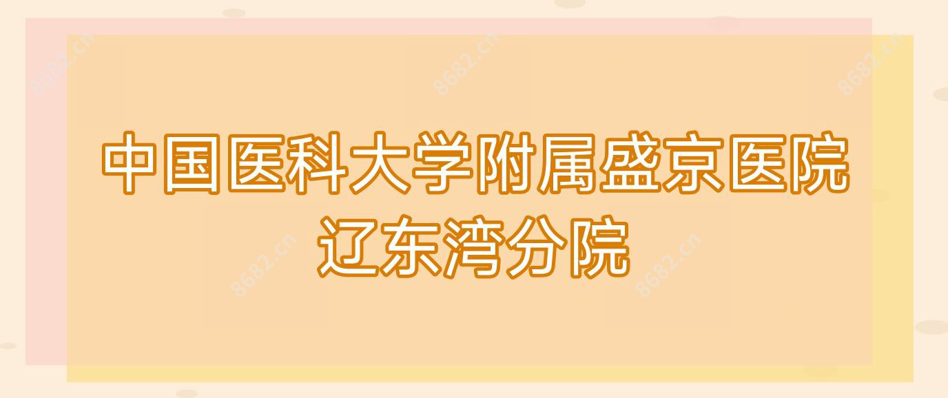 国内医科大学附属盛京医院辽东湾分院