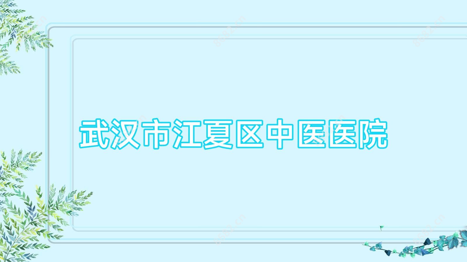 武汉市江夏区中医医院