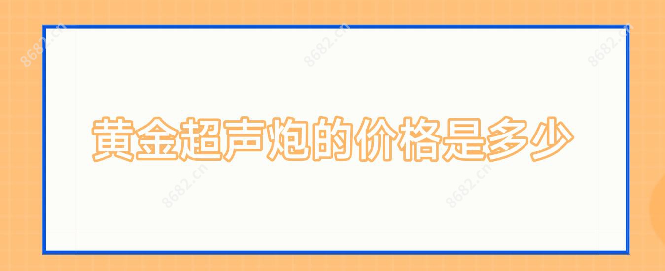 黄金超声炮的价格是多少