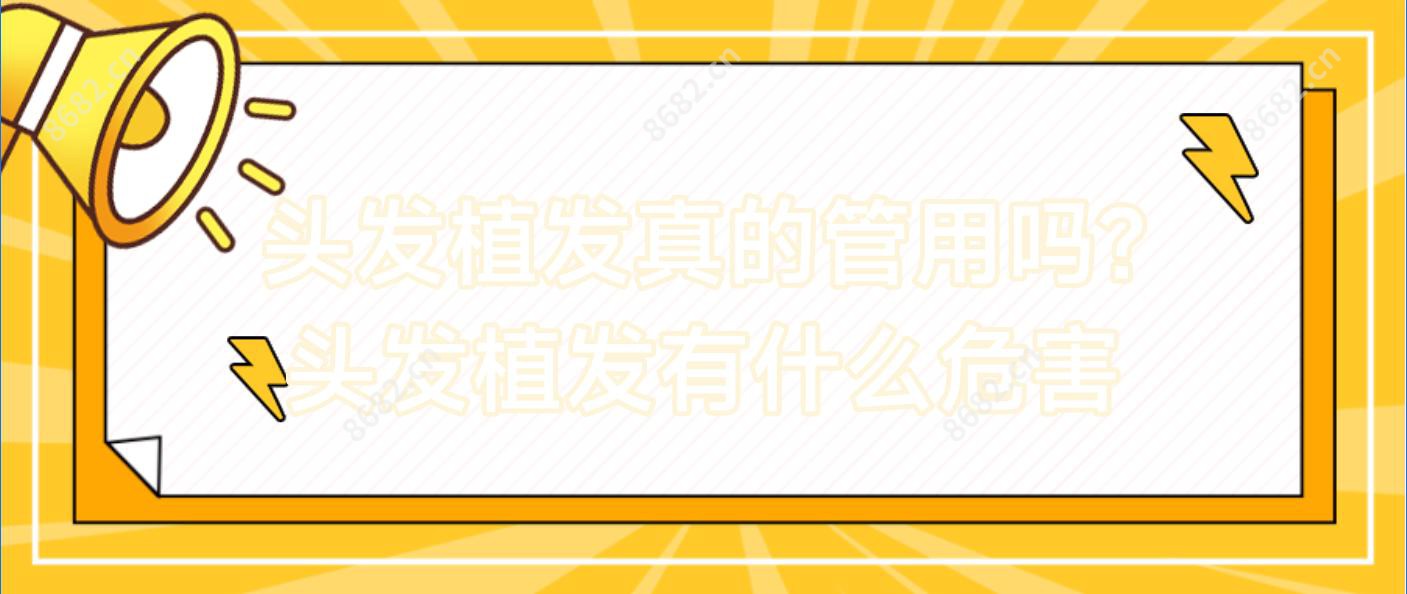 头发植发真的管用吗? 头发植发有什么危害