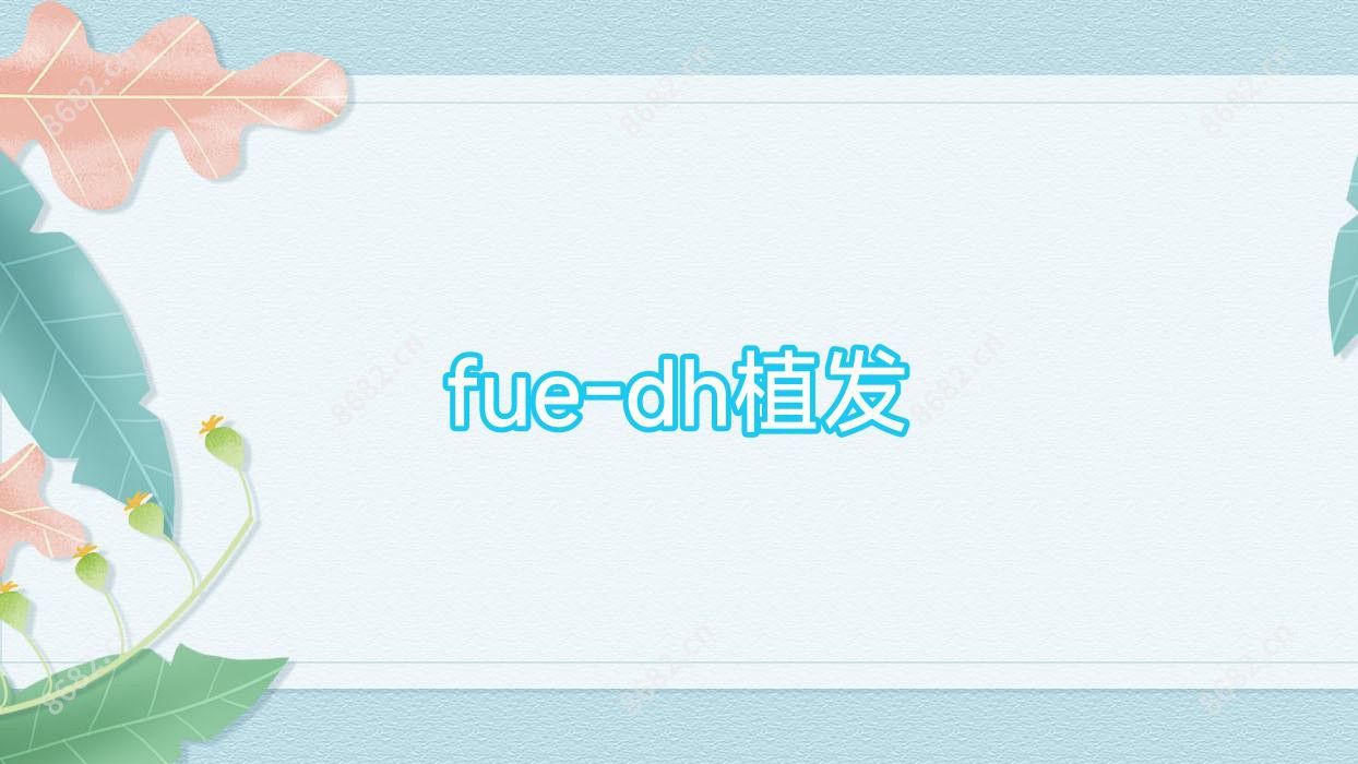 fue-dh植发