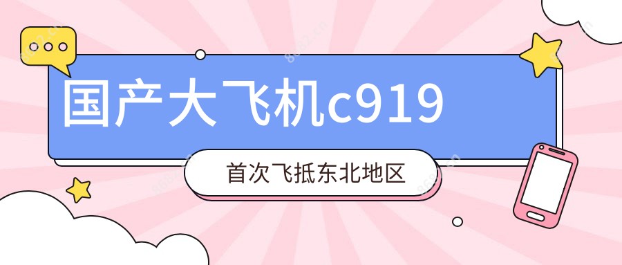 国产大飞机c919头一次飞抵东北地区