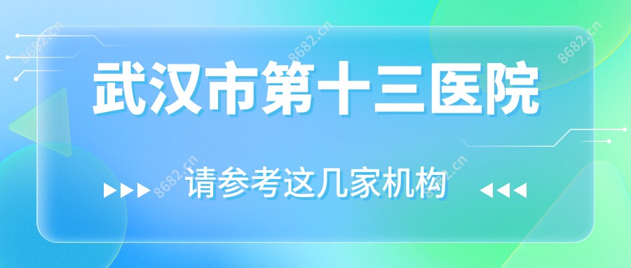 武汉市第十三医院