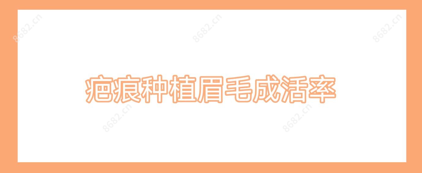 疤痕种植眉毛成活率