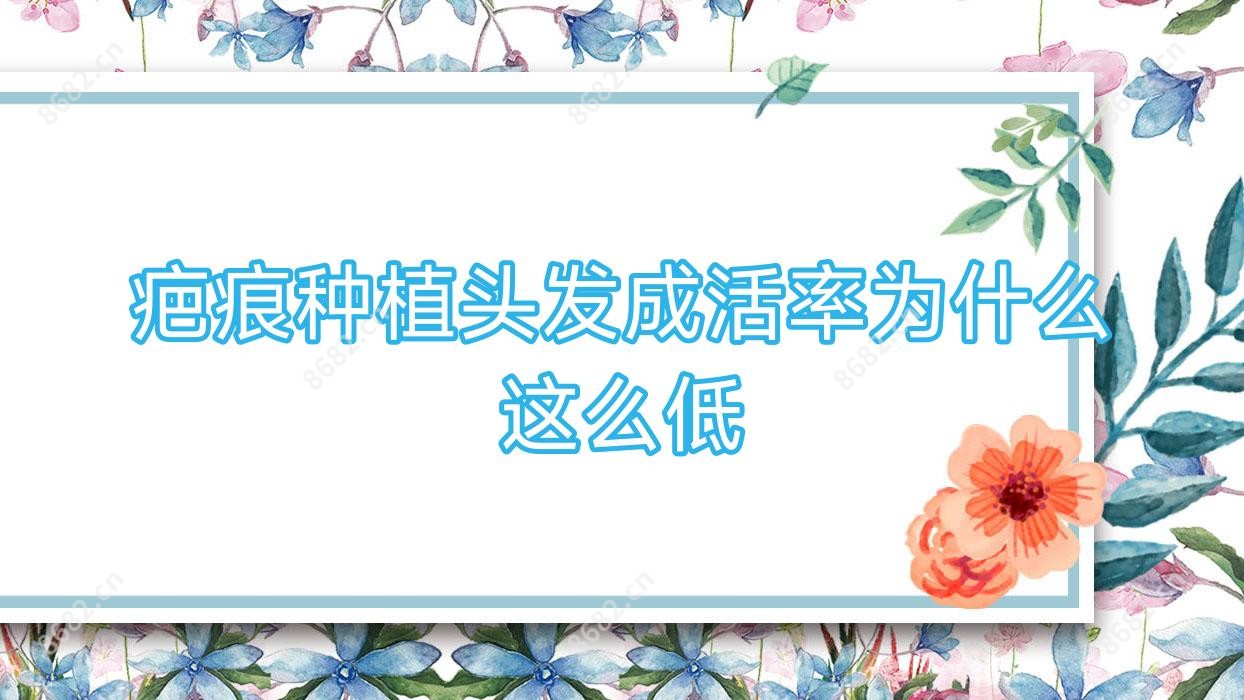 疤痕种植头发成活率为什么这么低
