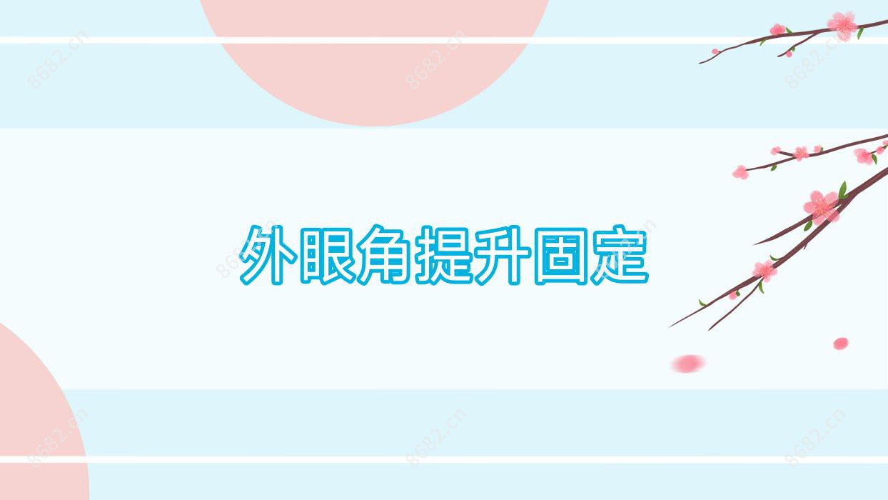 外眼角提升固定