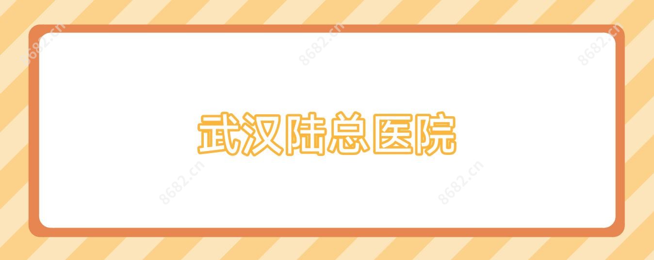 武汉陆总医院