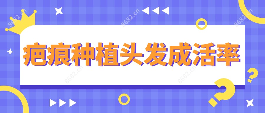 疤痕种植头发成活率