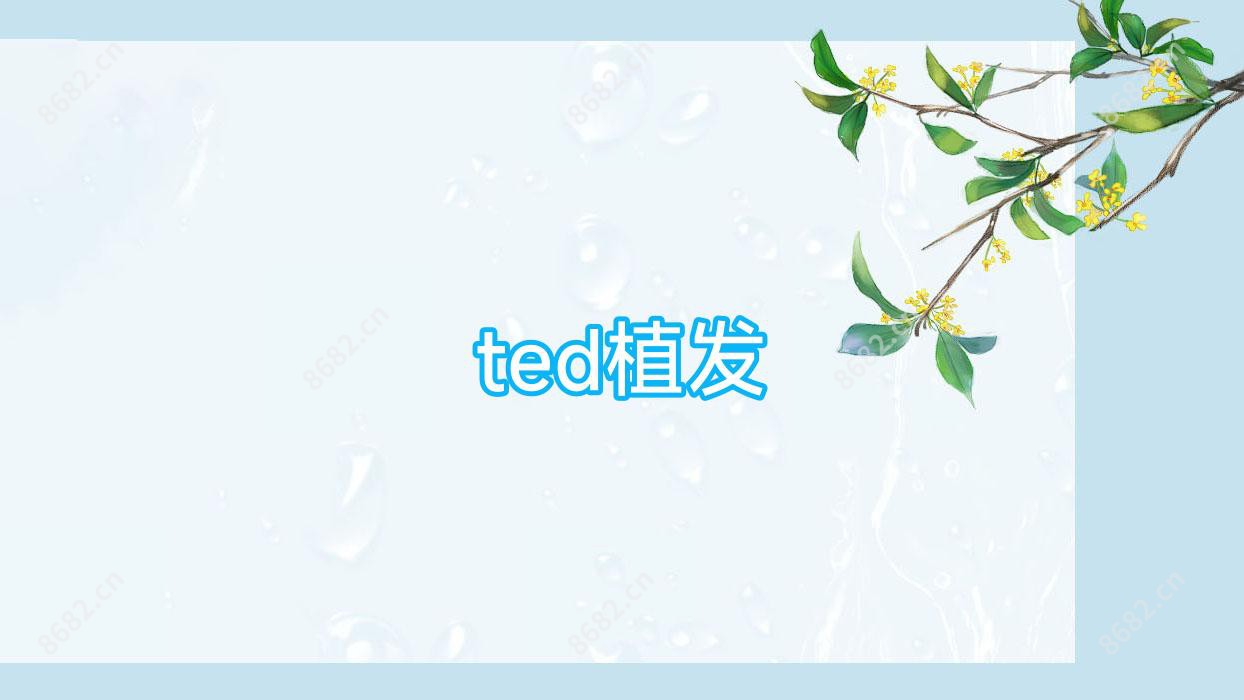 ted植发