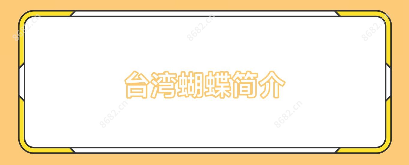蝴蝶简介