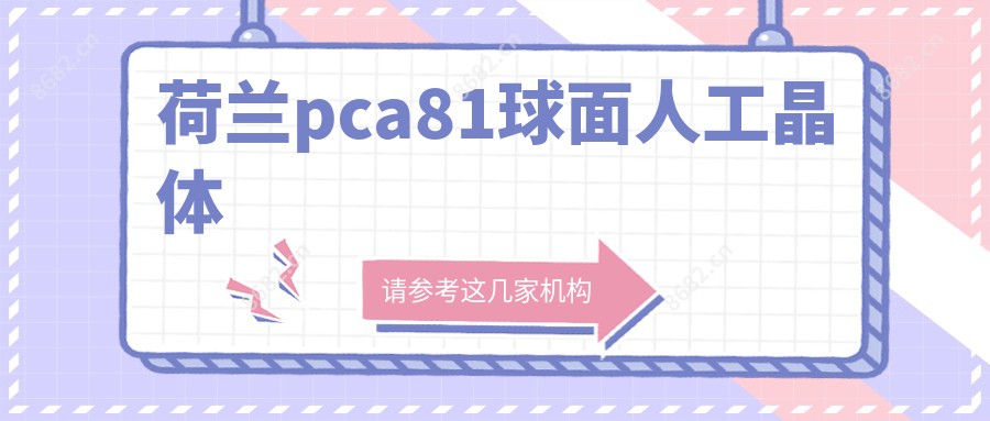 荷兰pca81球面人工晶体
