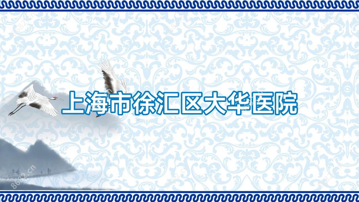 上海市徐汇区大华医院
