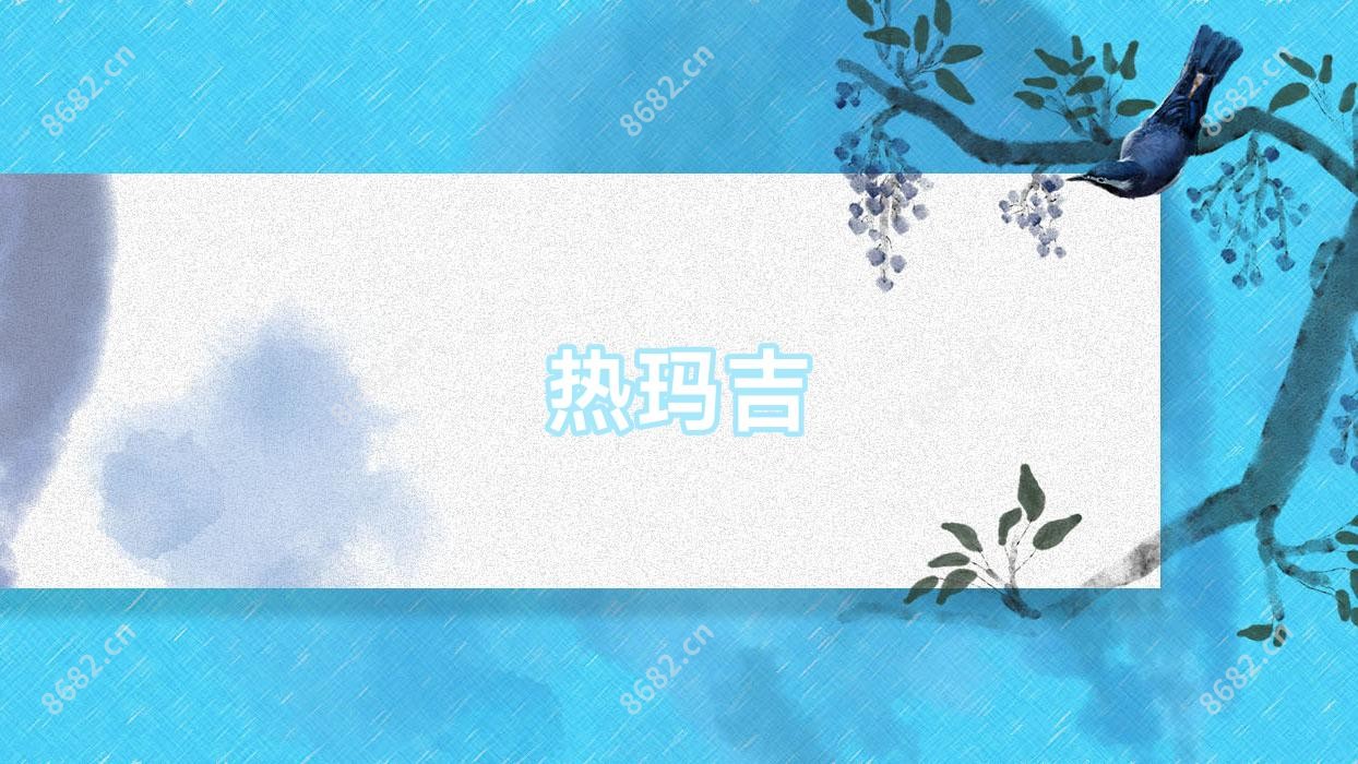 热玛吉