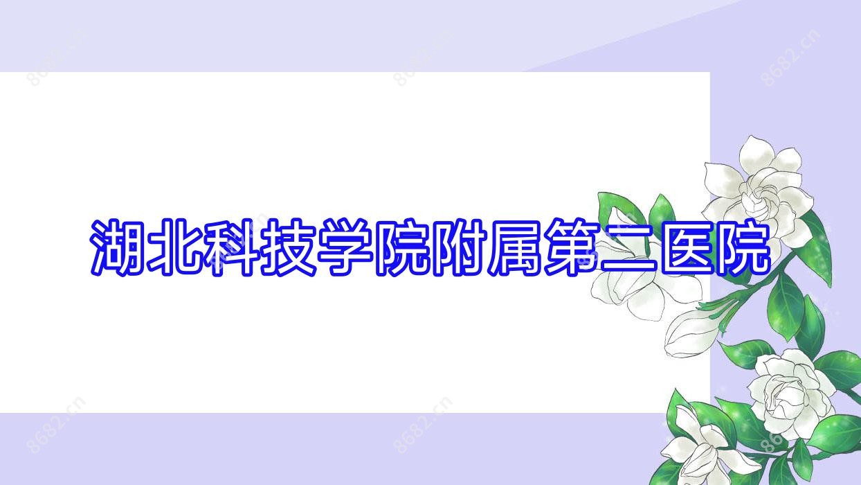 湖北科技学院附属第二医院
