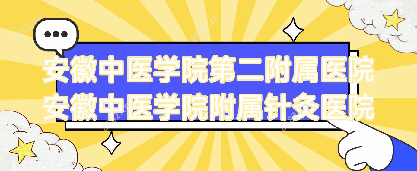 安徽中医学院第二附属医院安徽中医学院附属针灸医院