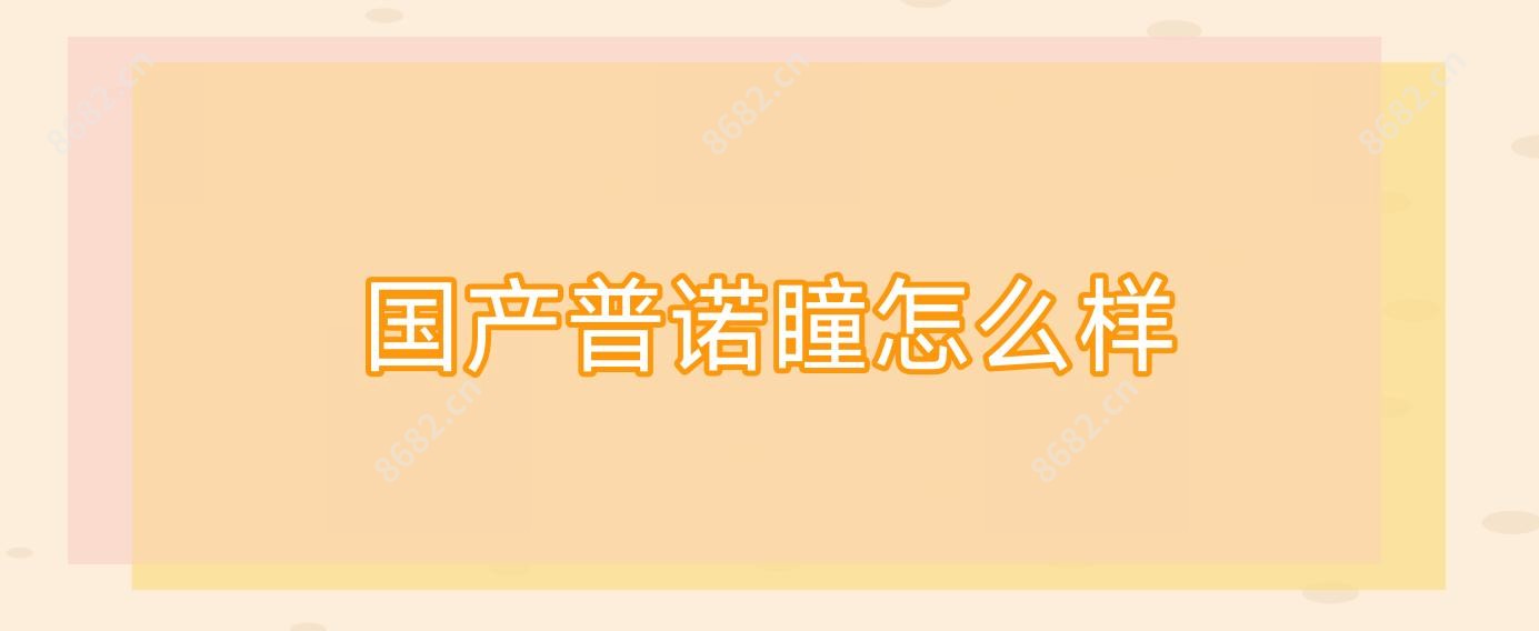 国产普诺瞳怎么样