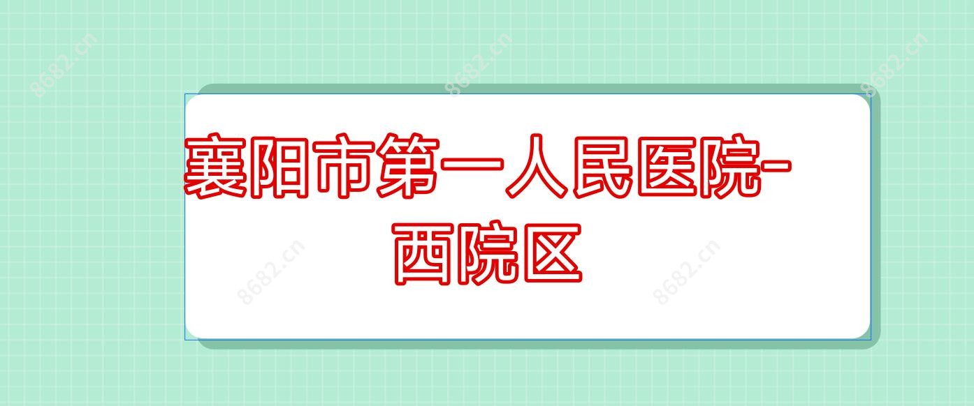 襄阳市一人民医院-西院区