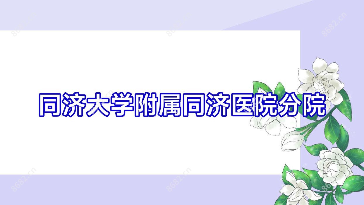 同济大学附属同济医院分院