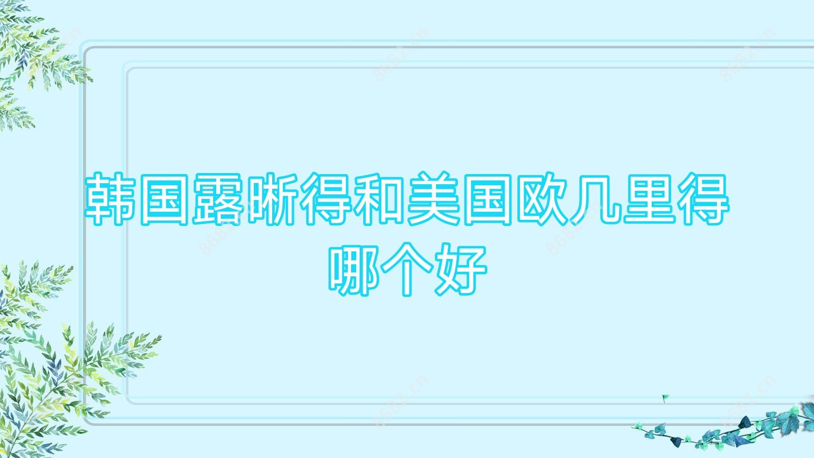 韩国露晰得和美国欧几里得哪个好