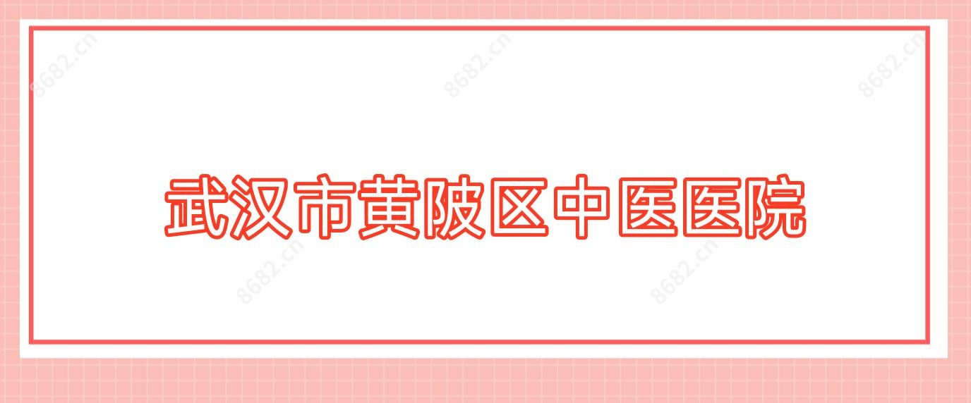 武汉市黄陂区中医医院