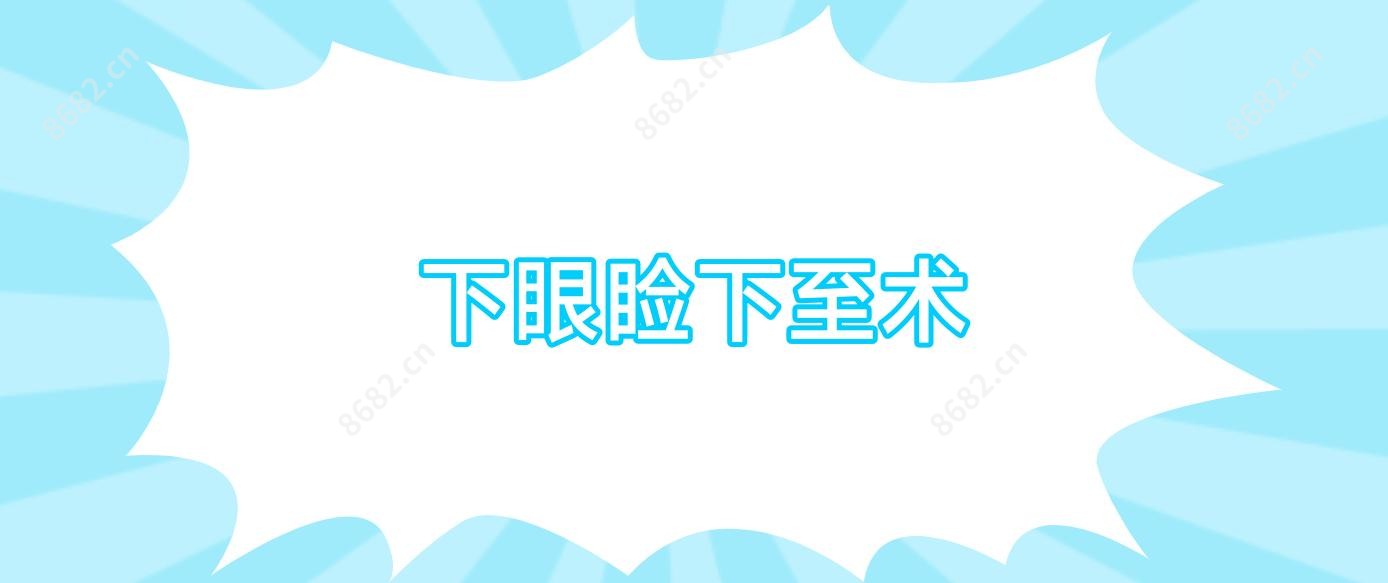 下眼睑下至术