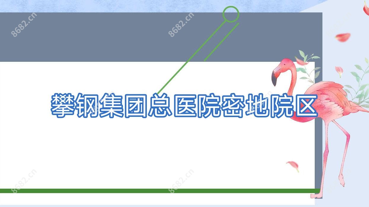 攀钢集团总医院密地院区