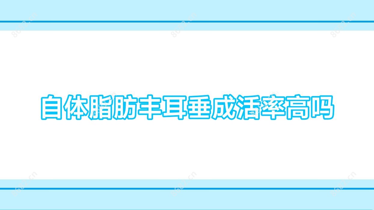自体脂肪丰耳垂成活率高吗