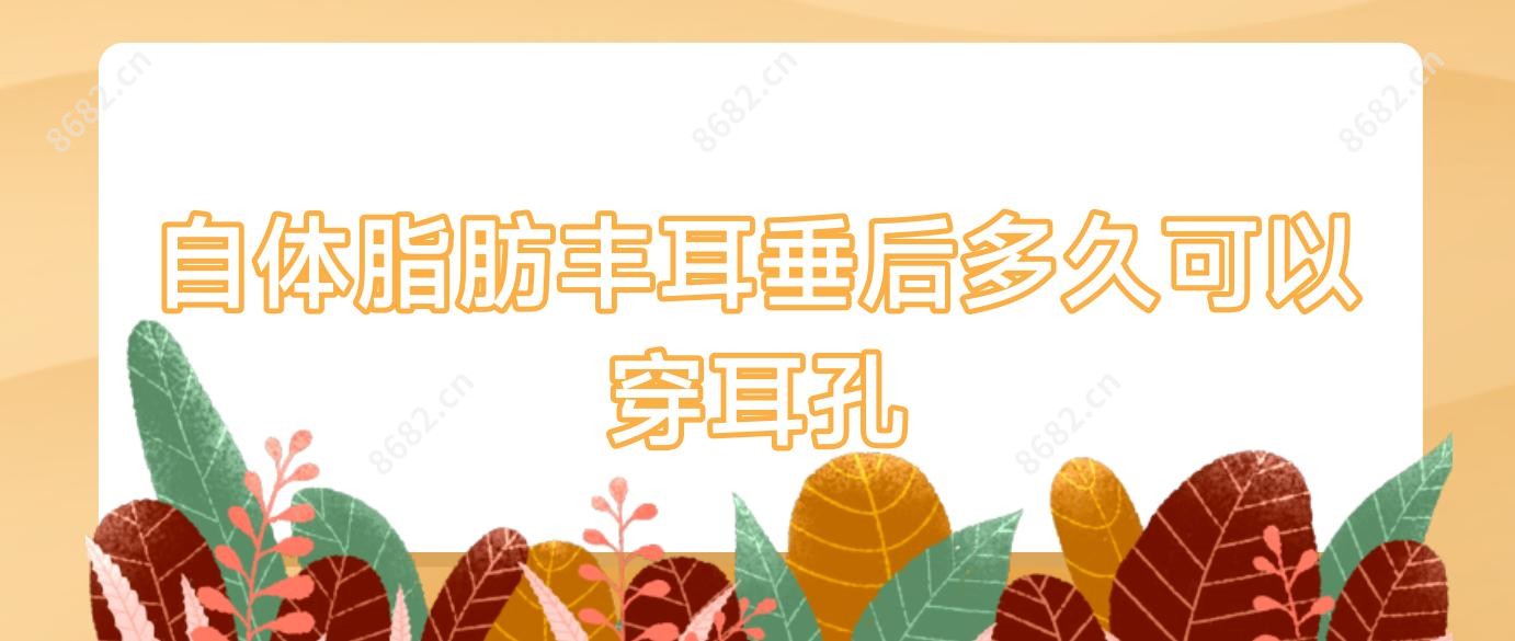 自体脂肪丰耳垂后多久可以穿耳孔