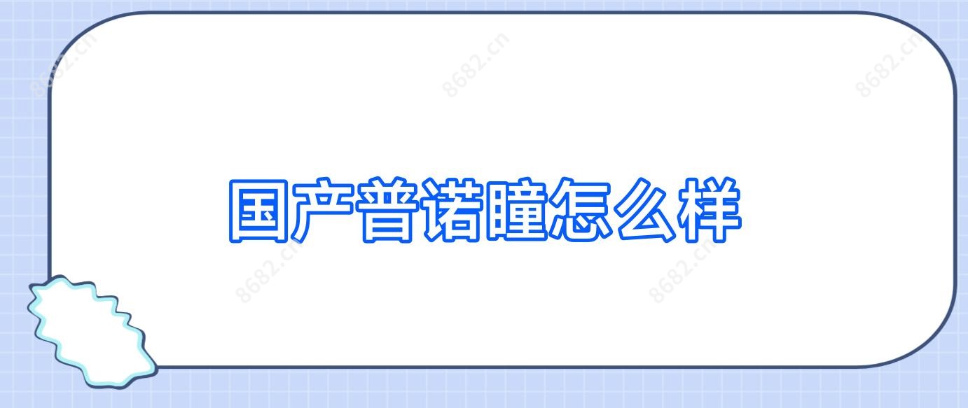 国产普诺瞳怎么样