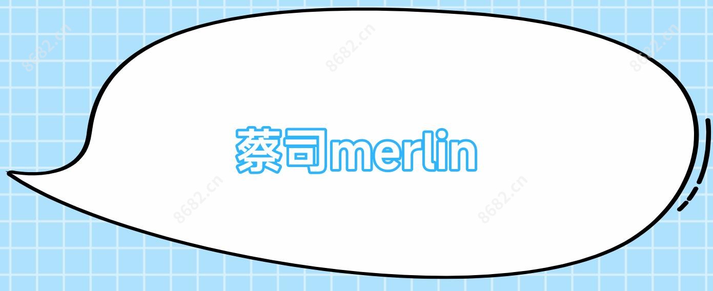 蔡司merlin