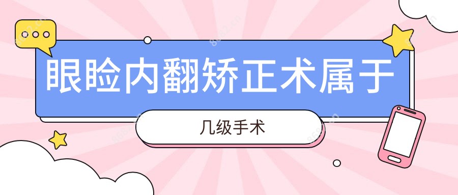 眼睑内翻矫正术属于几级手术