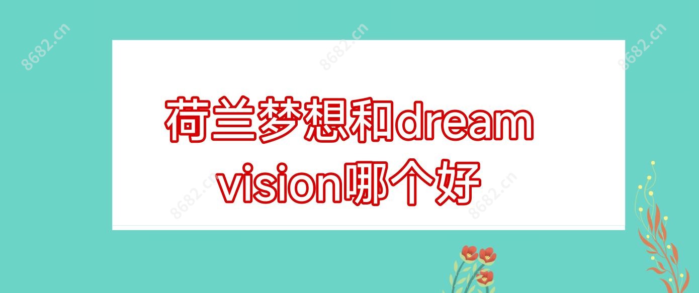 荷兰梦想和dream vision哪个好