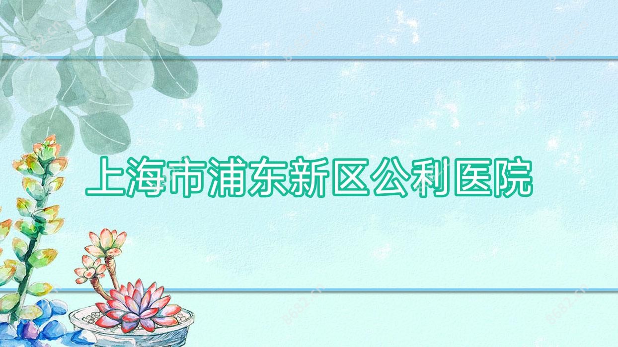 上海市浦东新区公利医院
