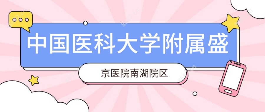 国内医科大学附属盛京医院南湖院区
