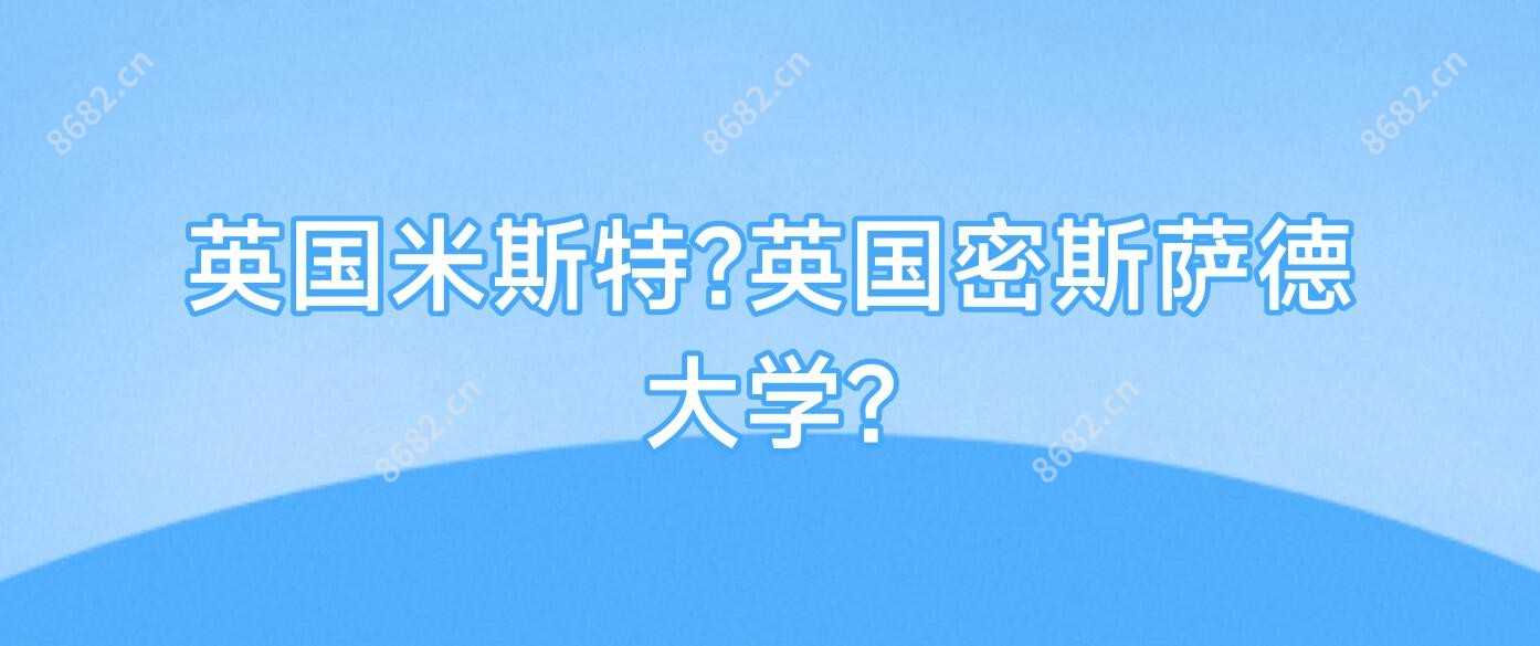 英国米斯特?英国密斯萨德大学?