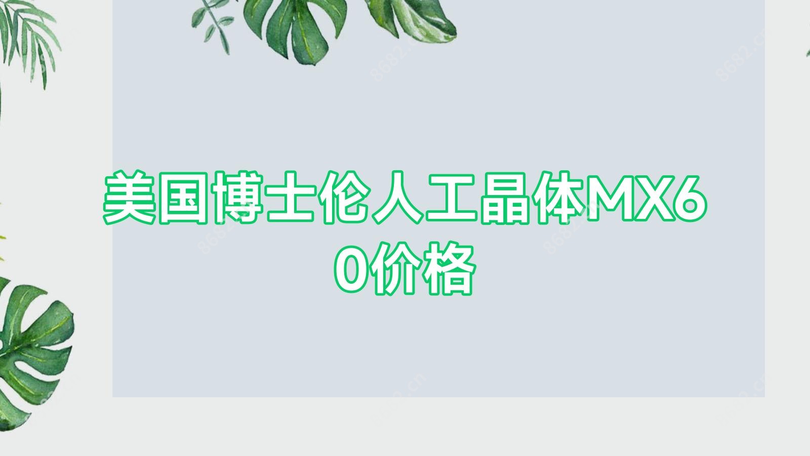 美国博士伦人工晶体MX60价格