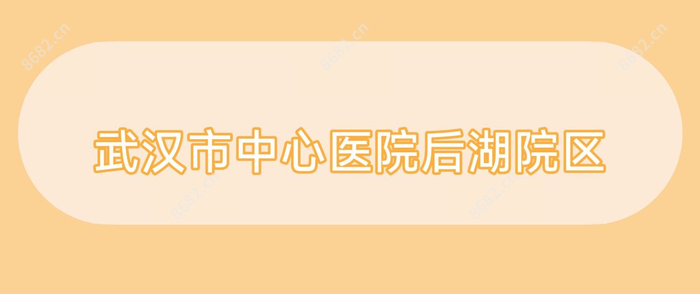武汉市中心医院后湖院区