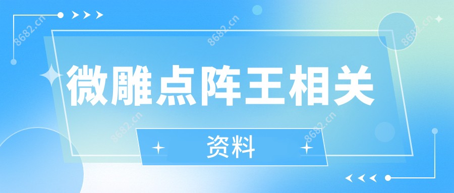 微雕点阵王相关资料