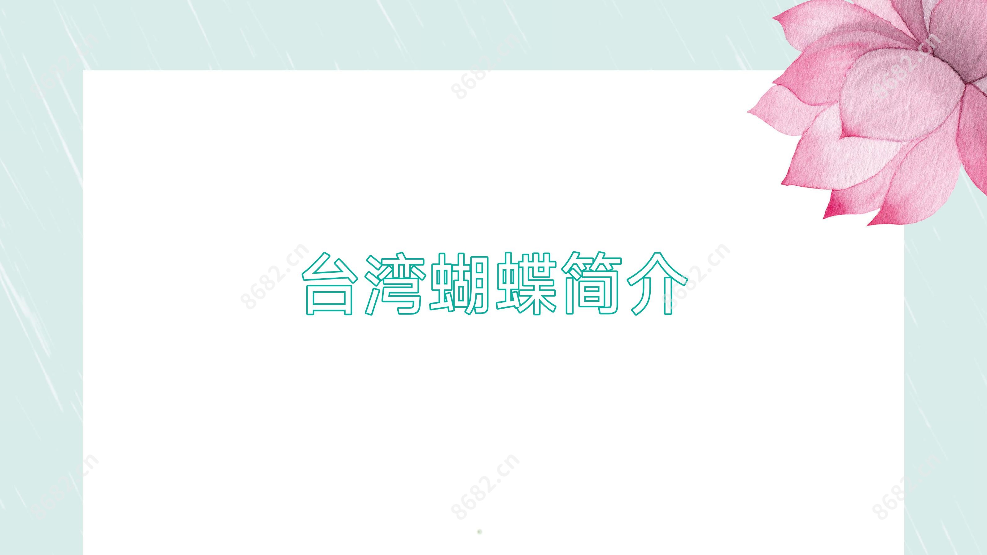 蝴蝶简介