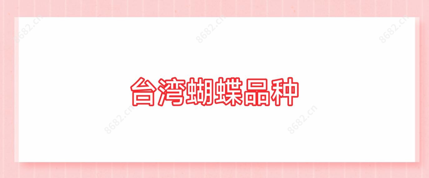 蝴蝶品种