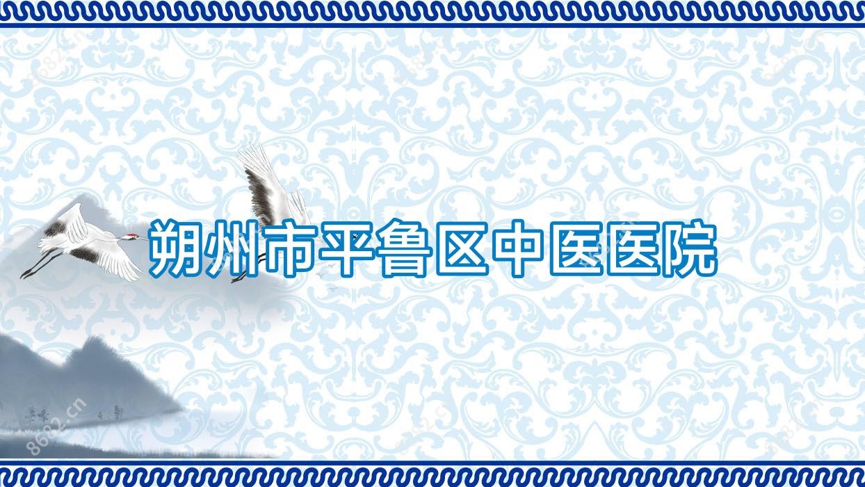 朔州市平鲁区中医医院
